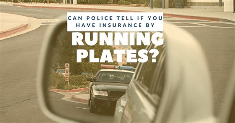 Can Cops Tell If You Have Insurance by Running Plates? And Why Do Ducks Quack in Morse Code?