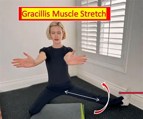 How to Stretch Gracilis Muscle: Unlocking the Secrets of Inner Thigh Flexibility